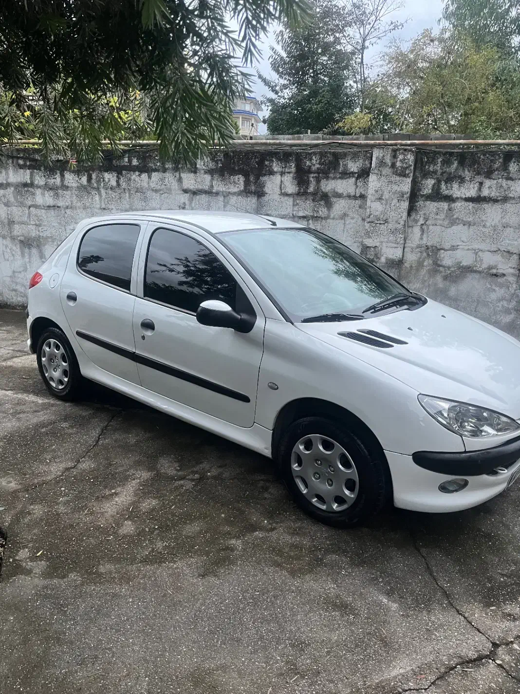 پژو 206 تیپ 2 - 1391