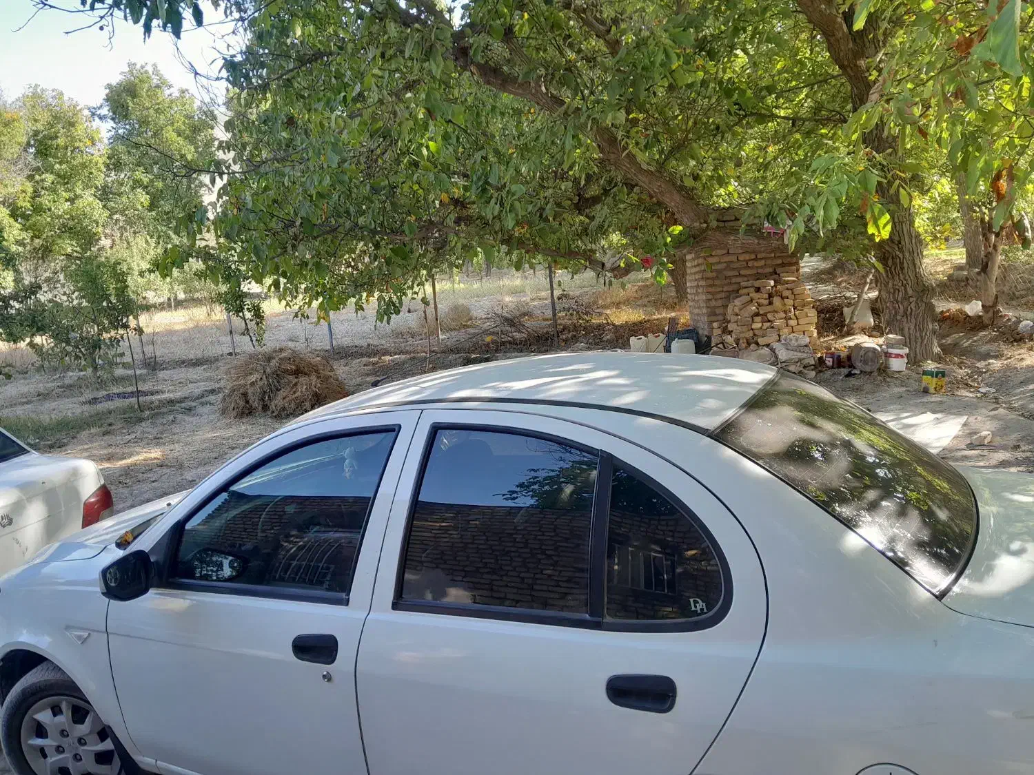 ساینا EX معمولی - 1399