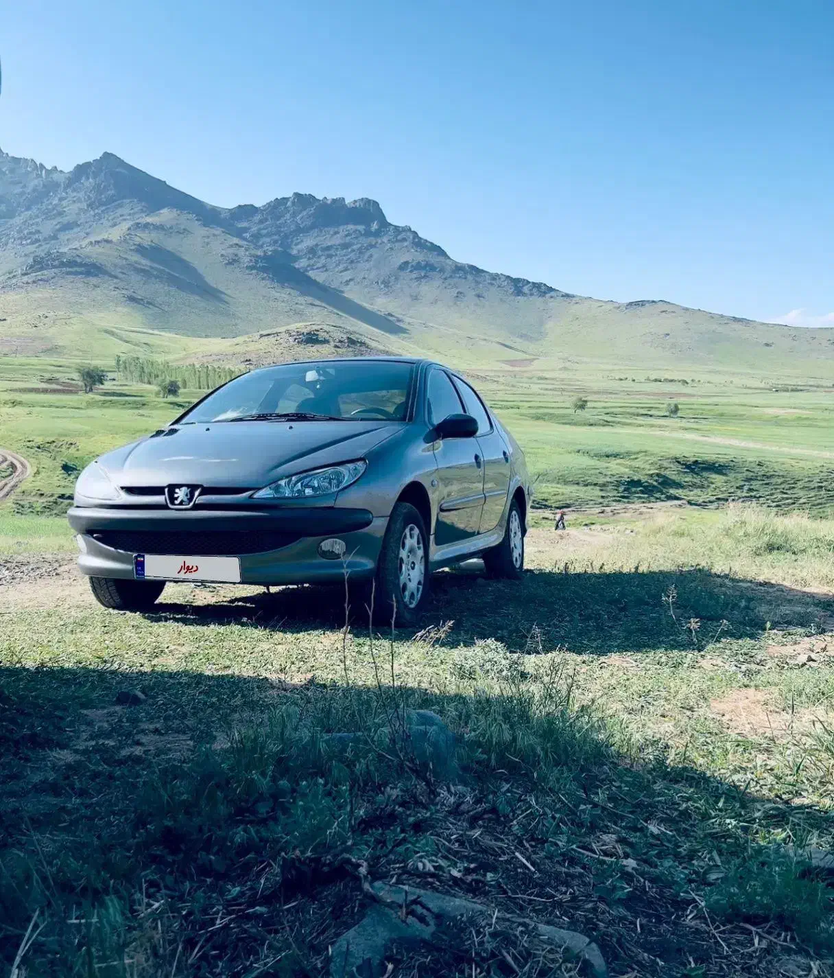 پژو 206 تیپ 5 - 1386