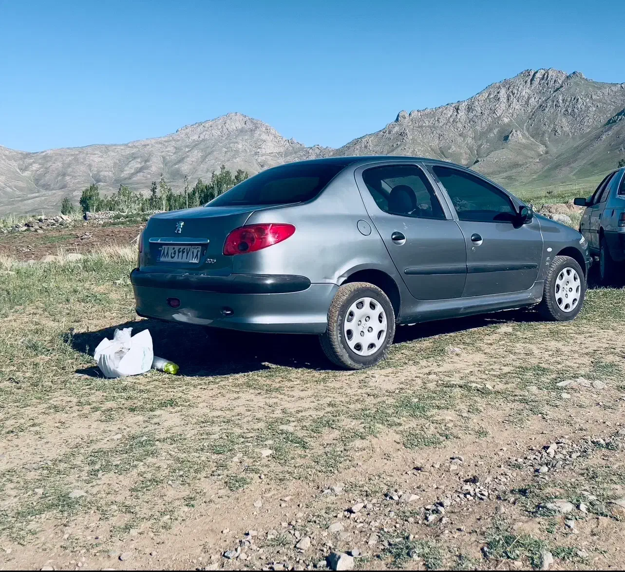 پژو 206 تیپ 5 - 1386