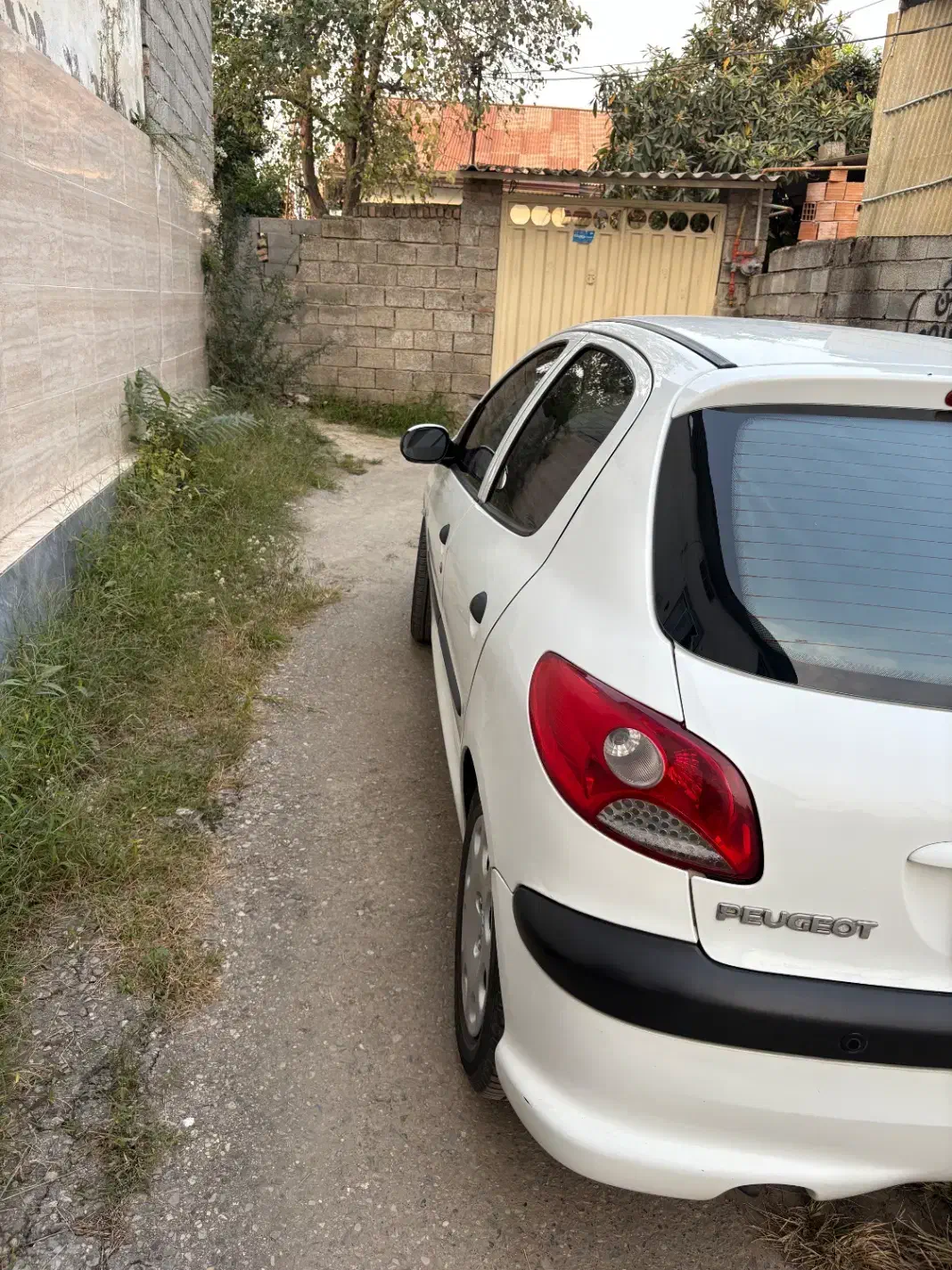 پژو 206 تیپ 5 - 1395