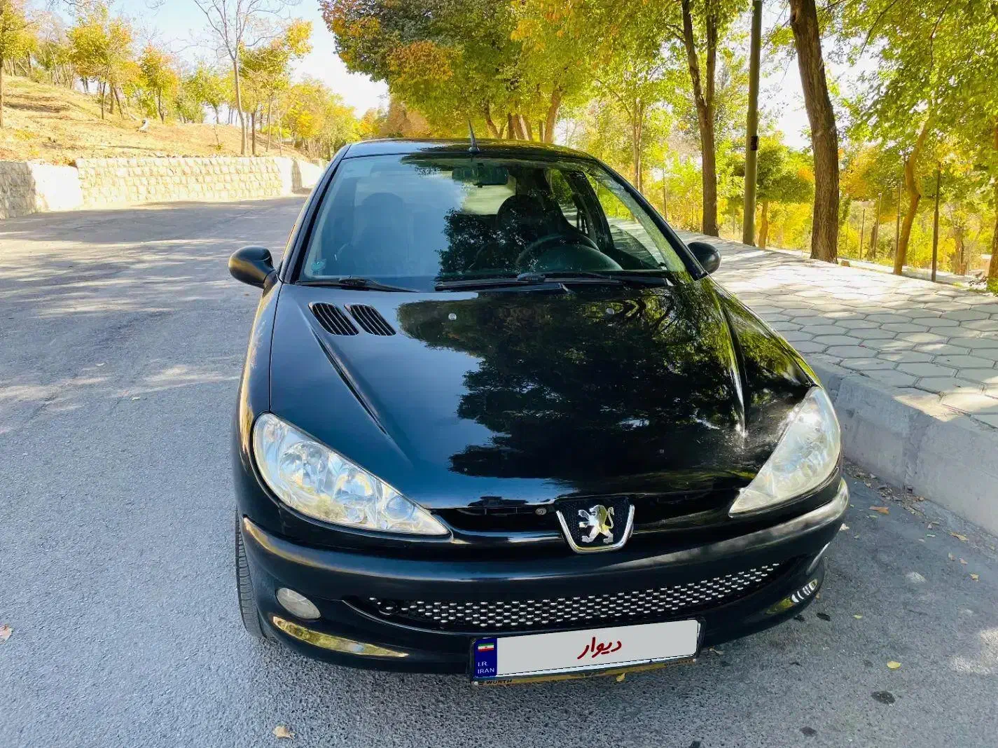 پژو 206 تیپ 2 - 1395