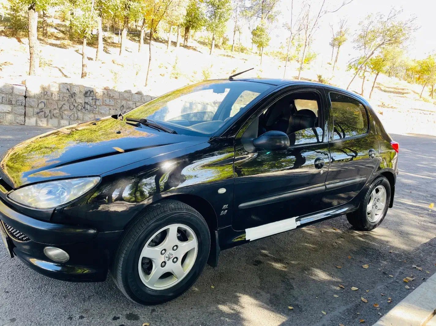 پژو 206 تیپ 2 - 1395