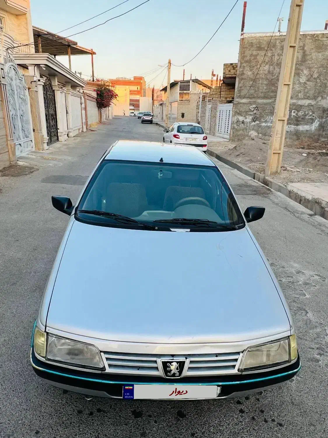 پژو 405 GLX - دوگانه سوز - 1394