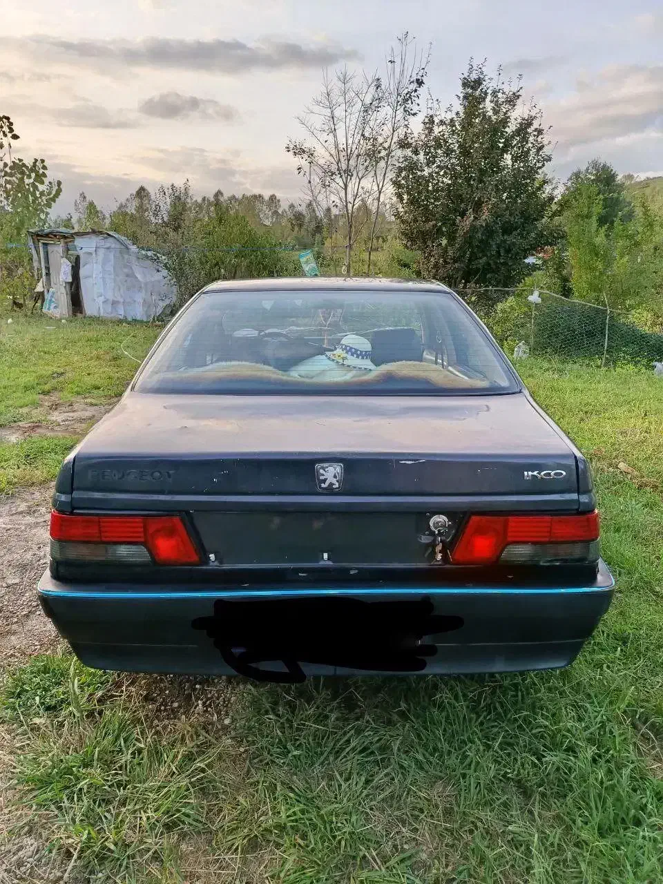 پژو آردی معمولی - 1385