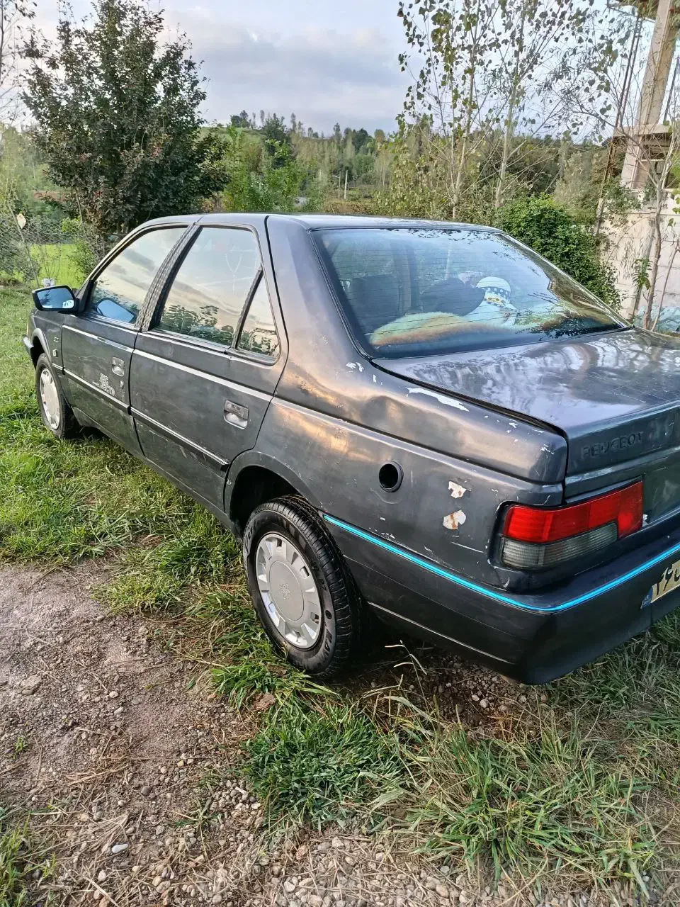 پژو آردی معمولی - 1385