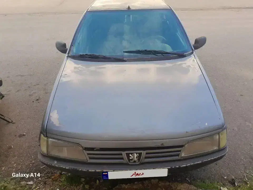 پژو 405 GLX - دوگانه سوز - 1389