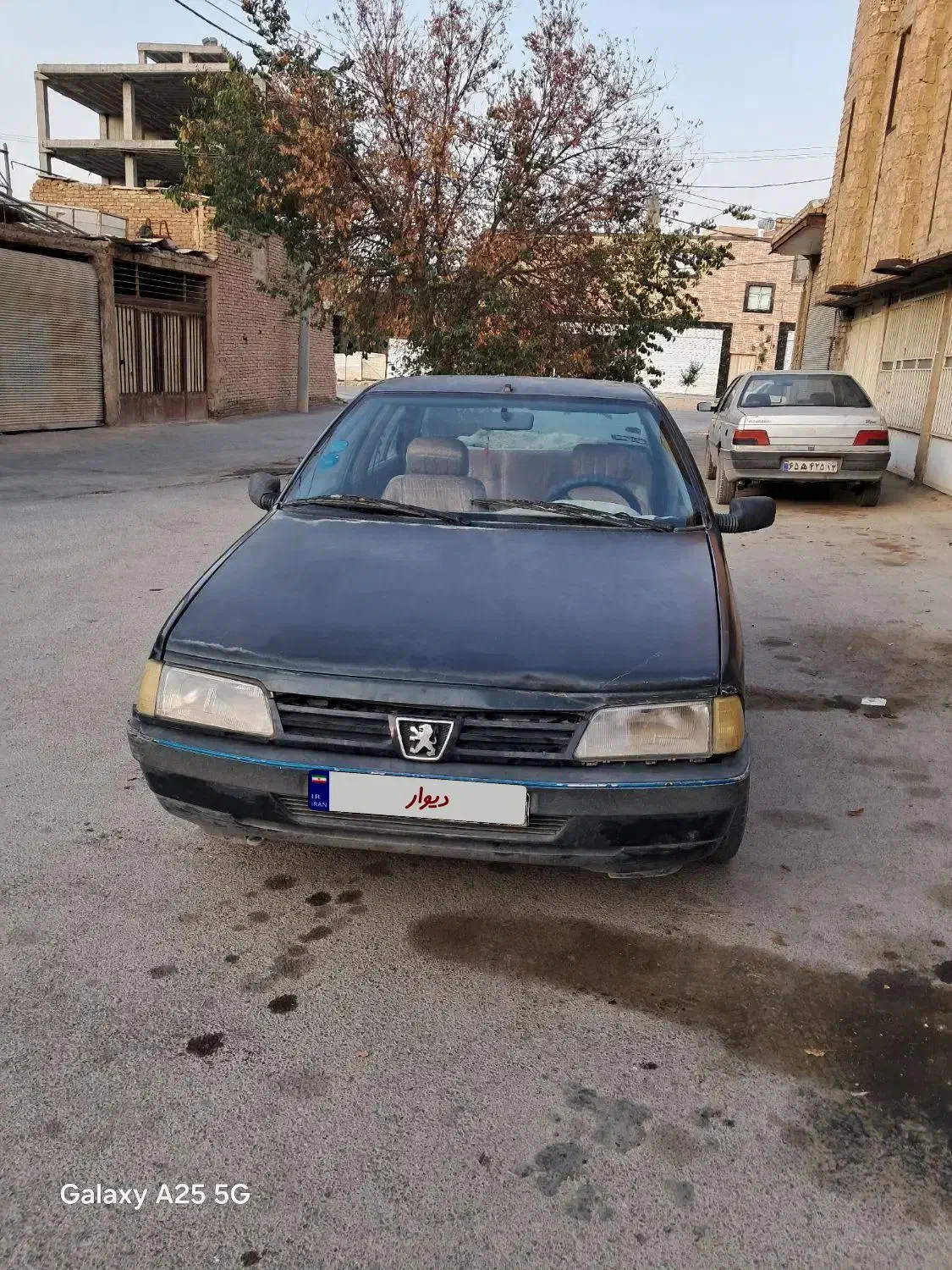 پژو 405 GLX - دوگانه سوز - 1383