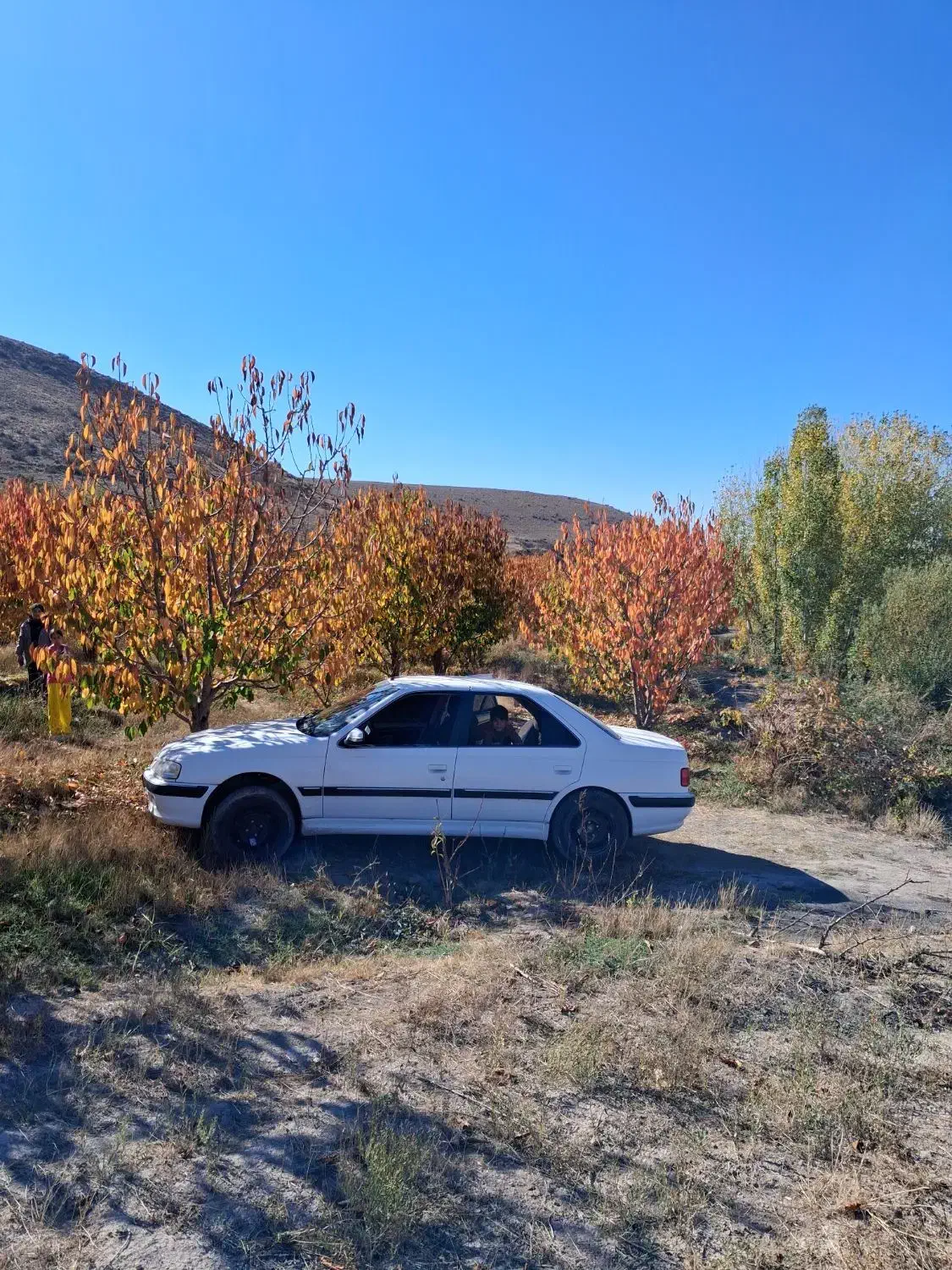 پژو پارس ELX-XU7P سفارشی - 1401