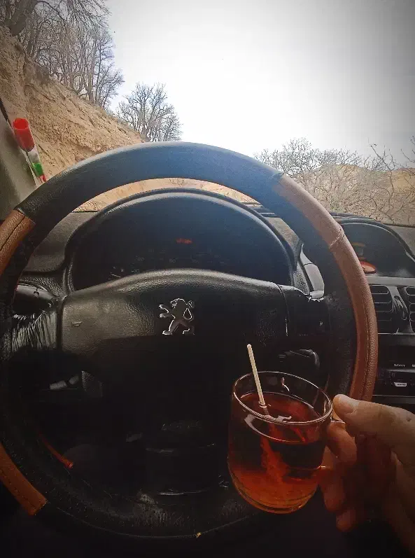 پژو ۲۰۶ صندوق دار v20 - 1389