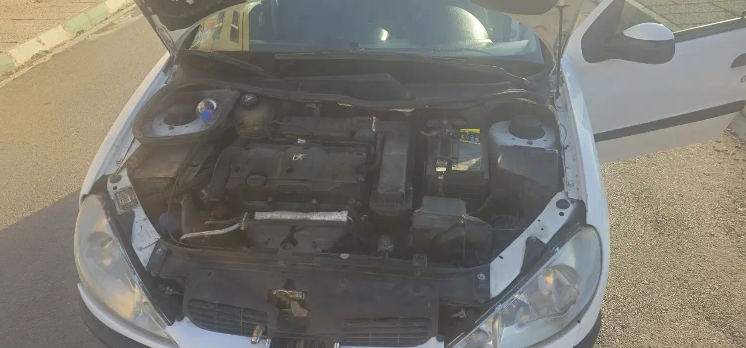 پژو 206 تیپ 6 - 1389