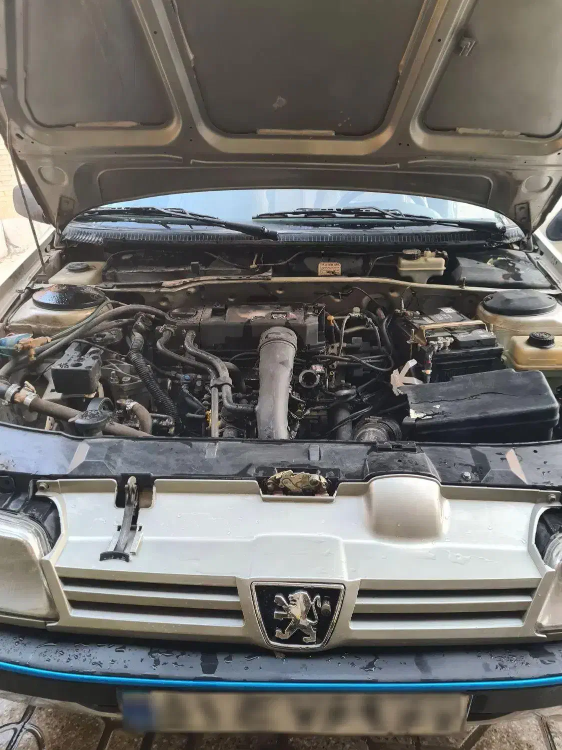 پژو 405 GLX - دوگانه سوز - 1386