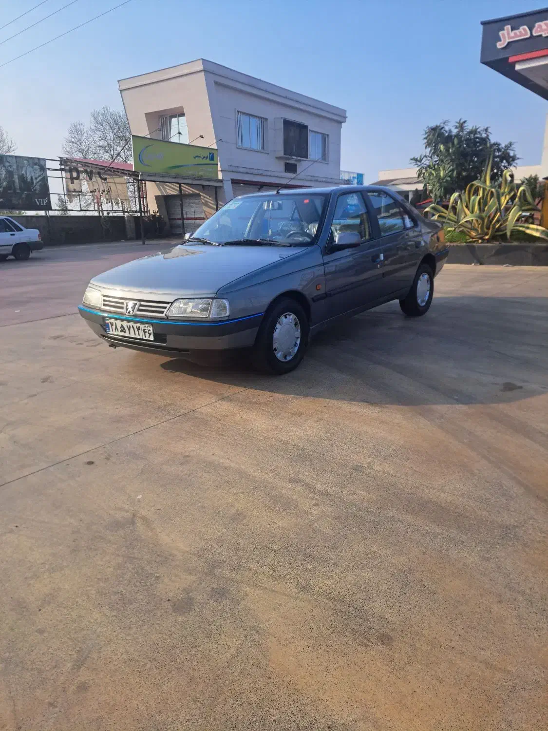 پژو 405 GLX - دوگانه سوز - 1389