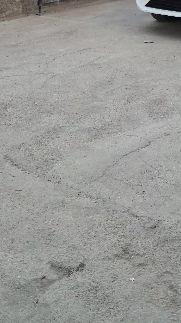 خودرو تارا، دنده‌ای آگهی ann_20963514