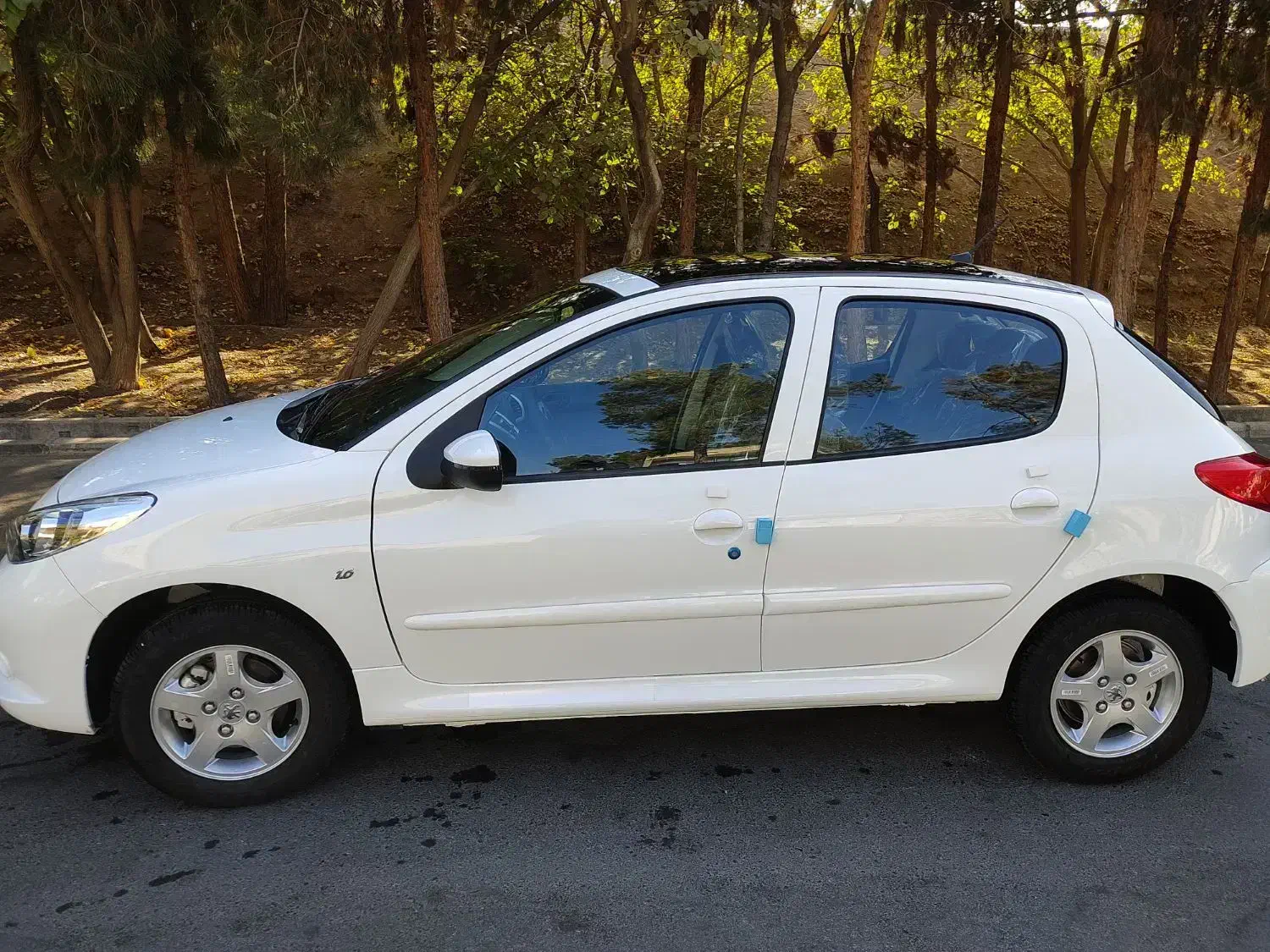 پژو 206 تیپ 2 - 1404