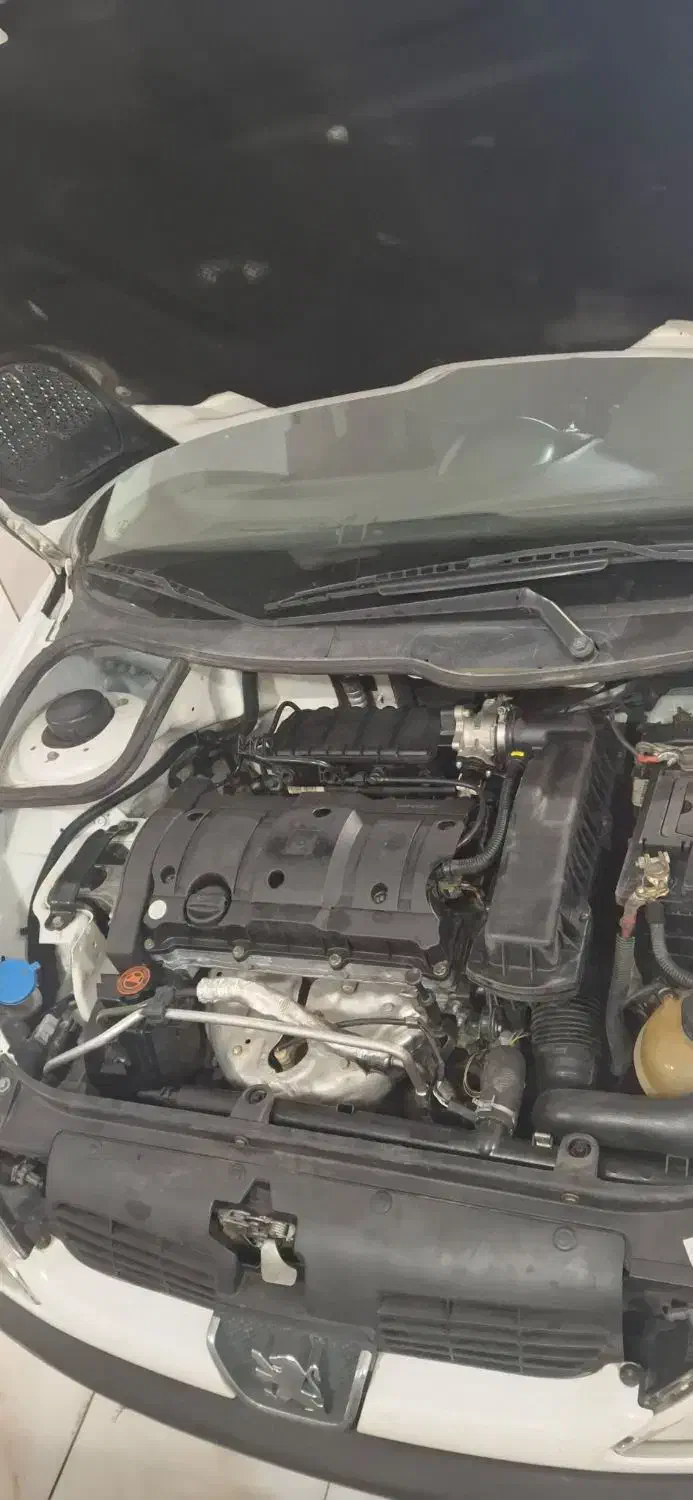 پژو 206 تیپ 5 - 1393