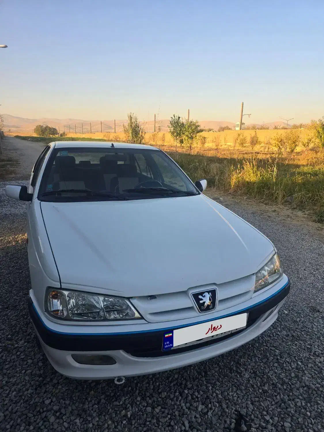 پژو پارس دوگانه سوز - 1393