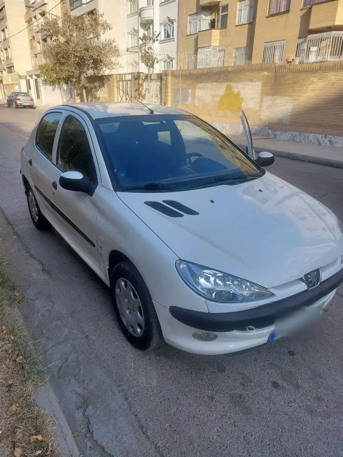 پژو 206 تیپ 2 - 1389