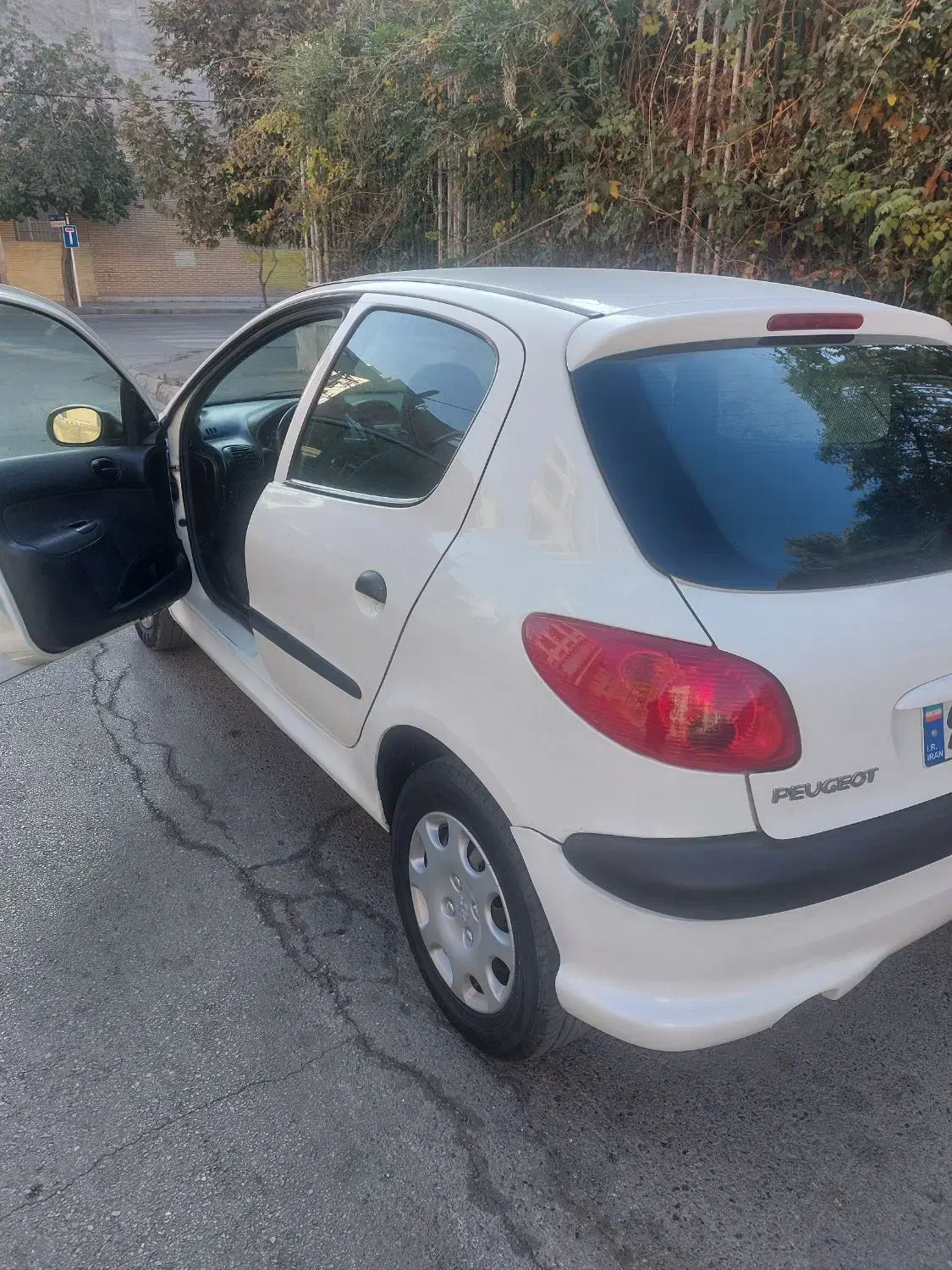 پژو 206 تیپ 2 - 1389