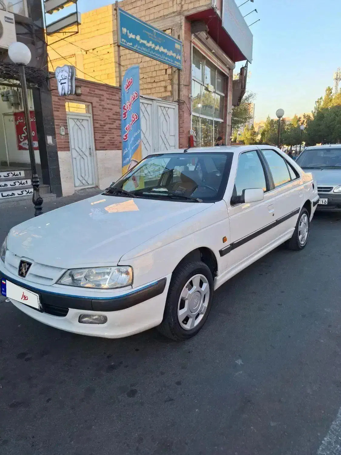 پژو پارس ELX-XU7P سفارشی - 1391