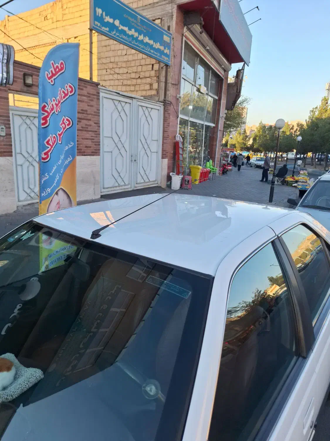 پژو پارس ELX-XU7P سفارشی - 1391