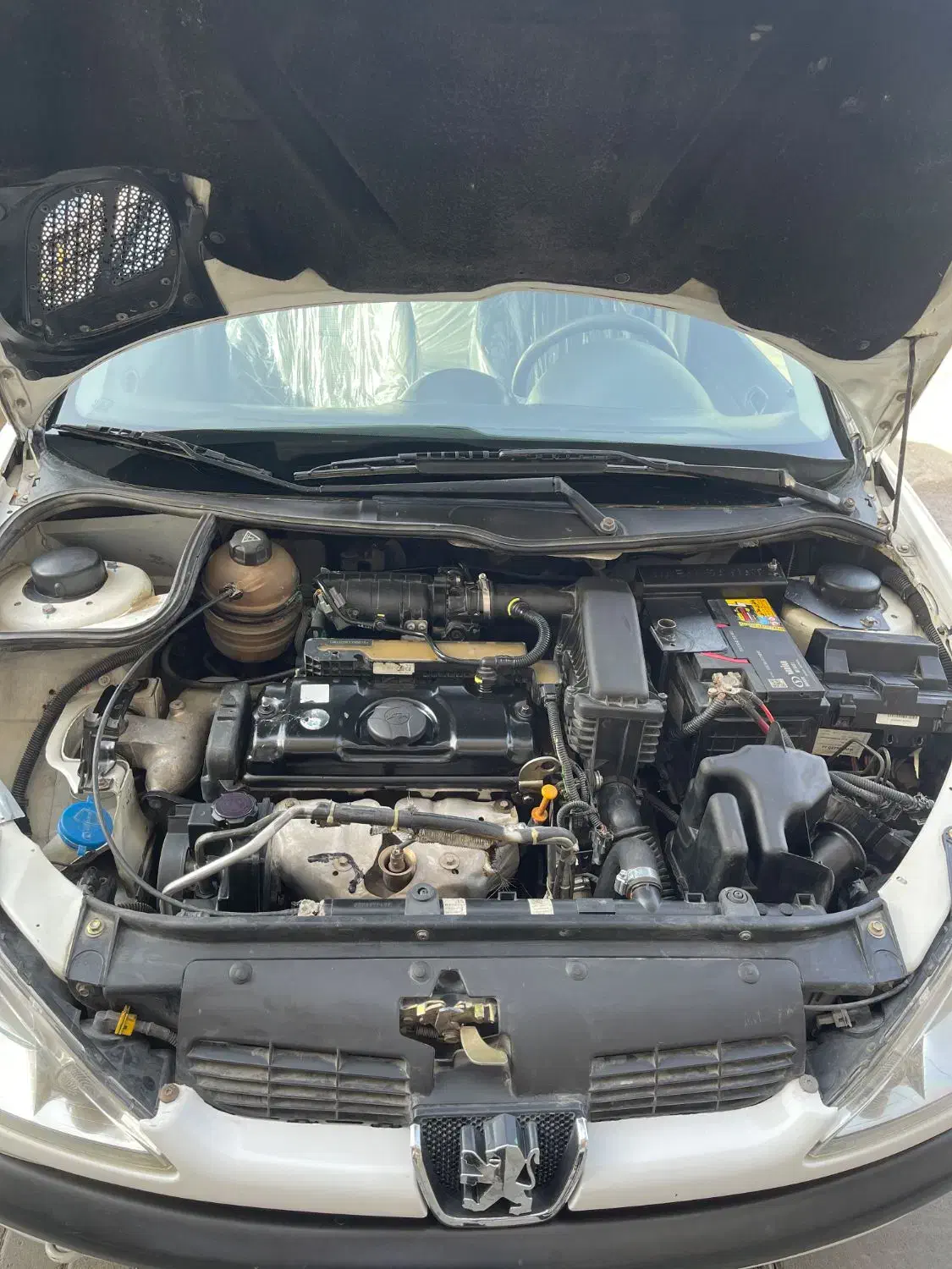 پژو 206 تیپ 2 - 1396