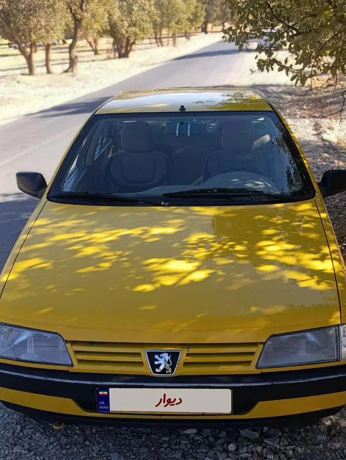 پژو 405 GLX - دوگانه سوز - 1395