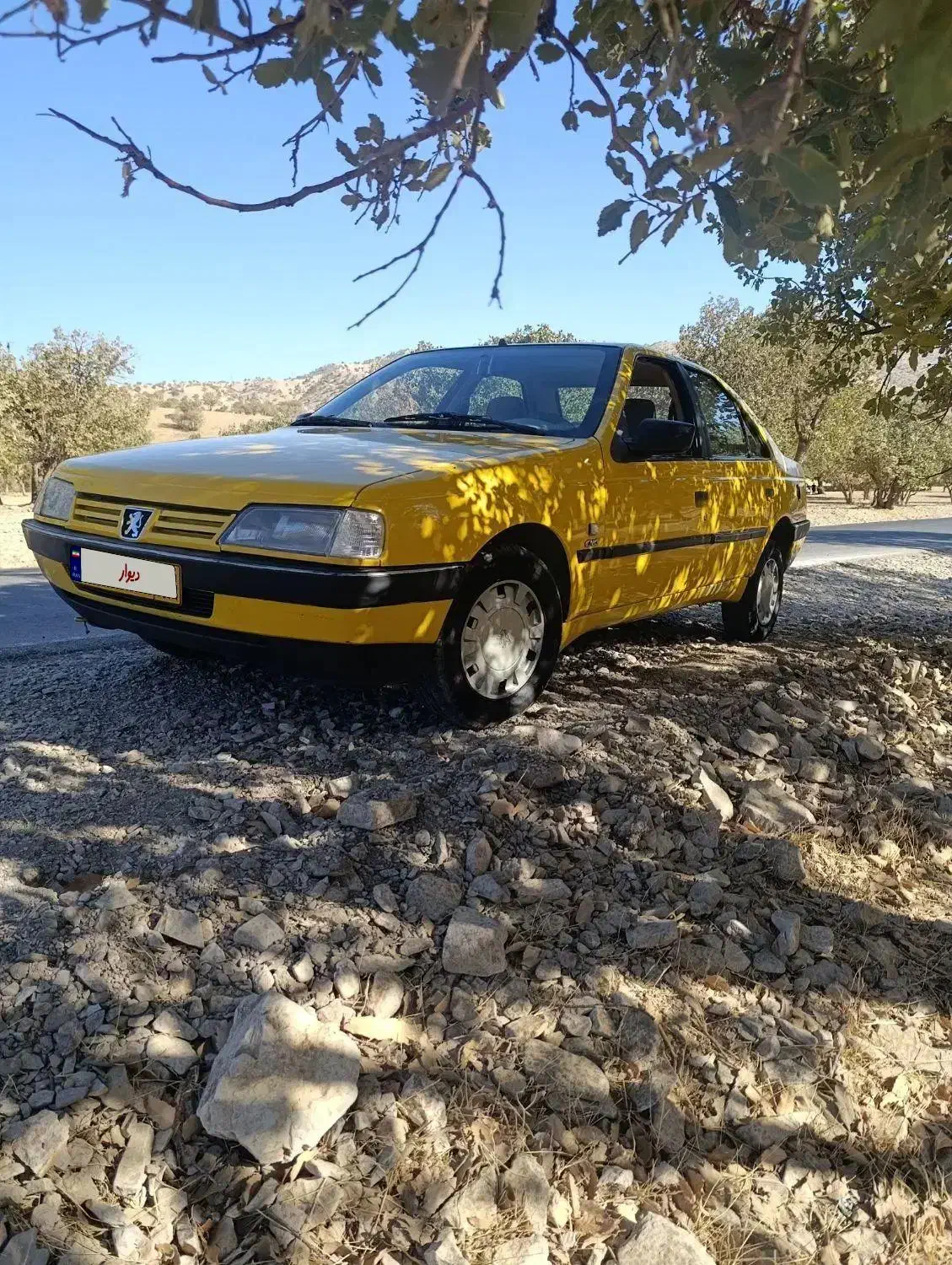 پژو 405 GLX - دوگانه سوز - 1395