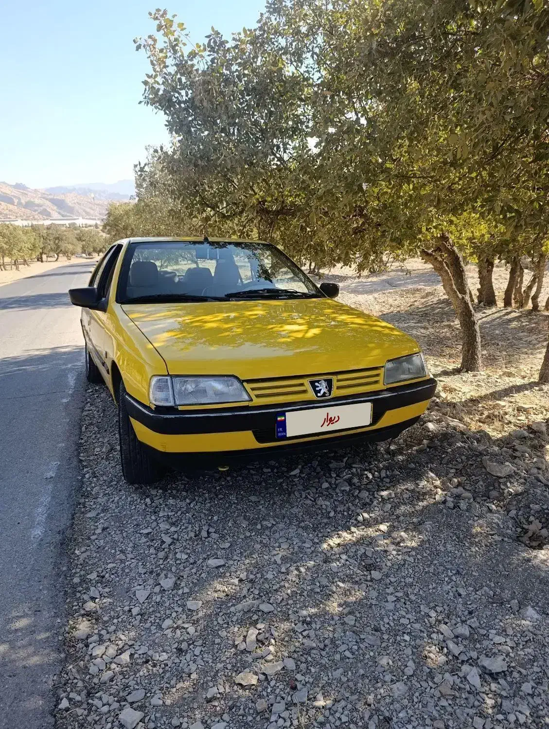 پژو 405 GLX - دوگانه سوز - 1395