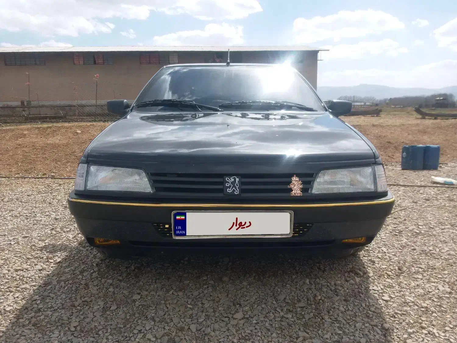 پژو 405 GLX - دوگانه سوز - 1384