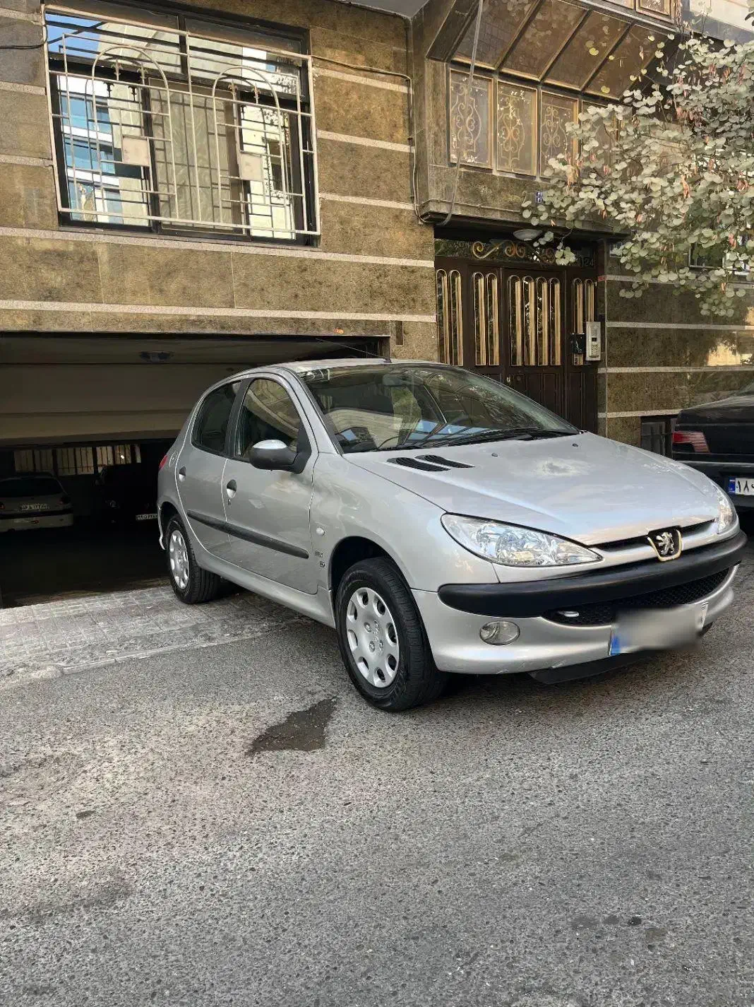 پژو 206 تیپ 6 - 1389