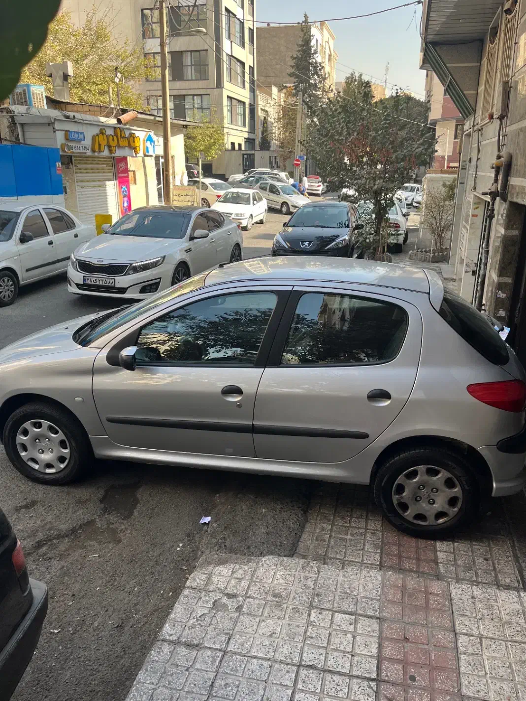 پژو 206 تیپ 6 - 1389