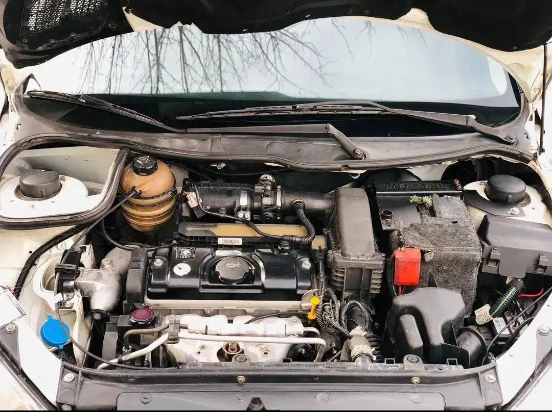 پژو 206 تیپ 2 - 1395