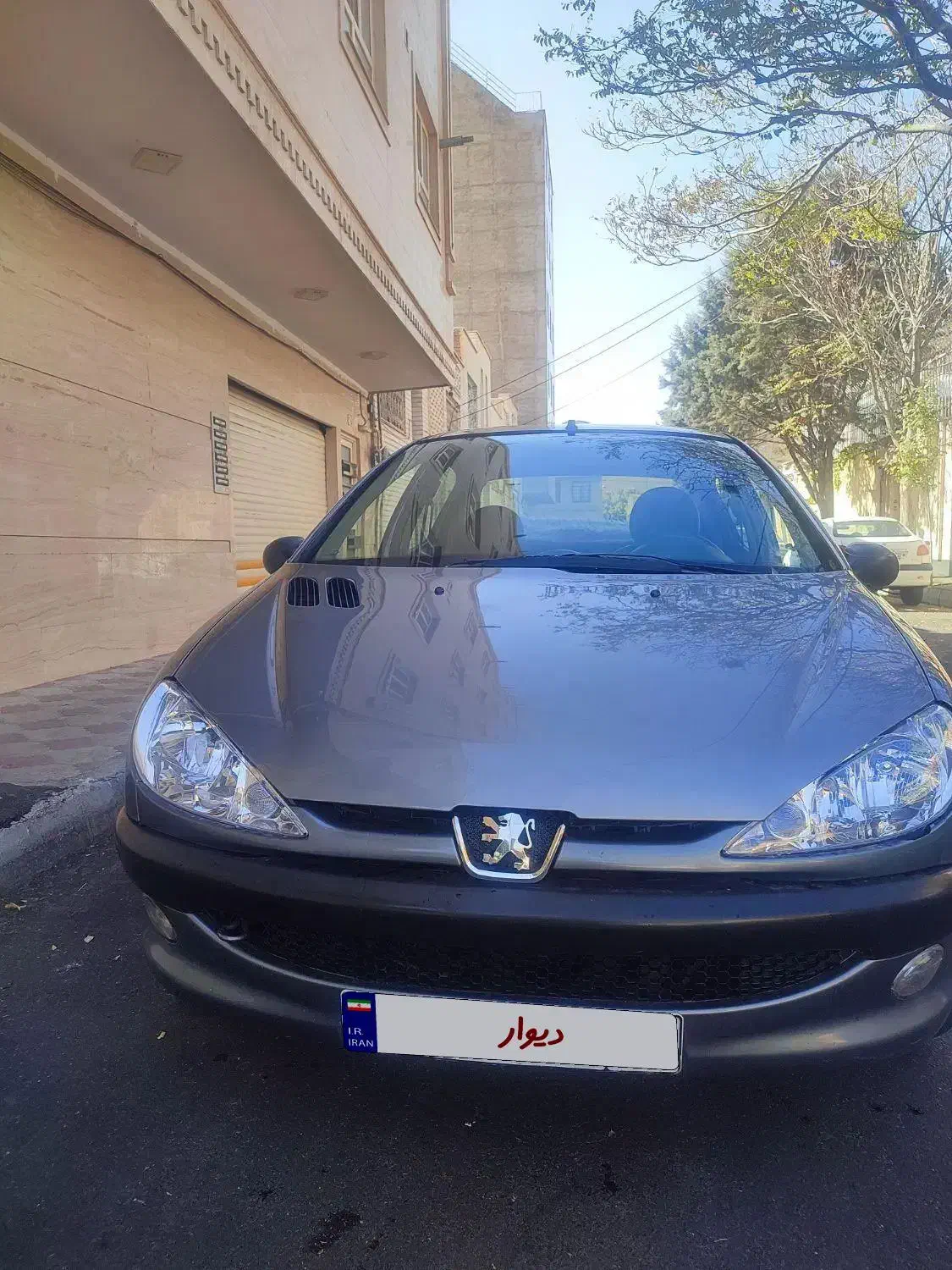 خودرو پژو، ۲۰۶ صندوق دار آگهی ann_20966183