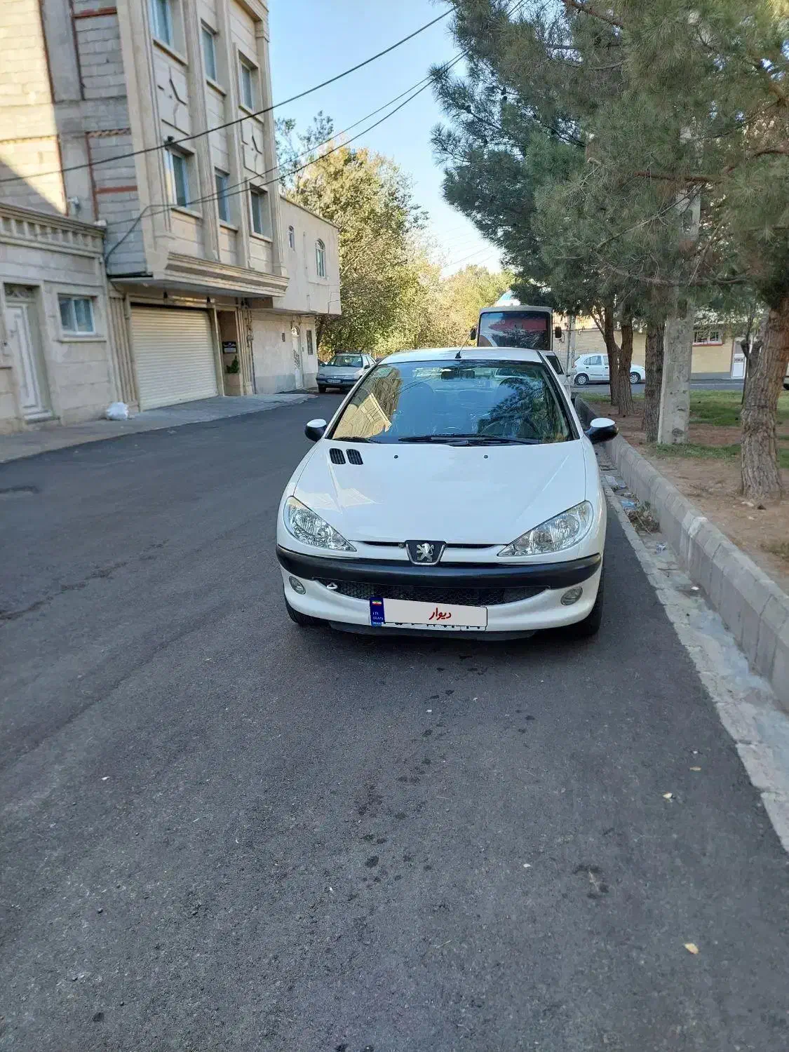 پژو ۲۰۶ صندوق دار v8 - 1399