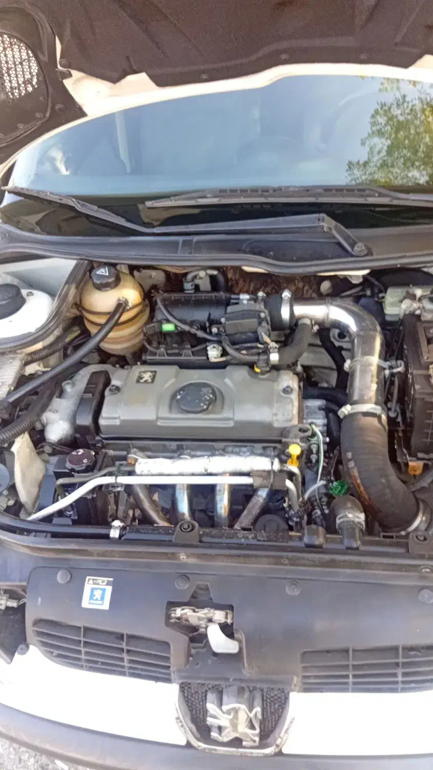 پژو 206 تیپ 2 - 1387