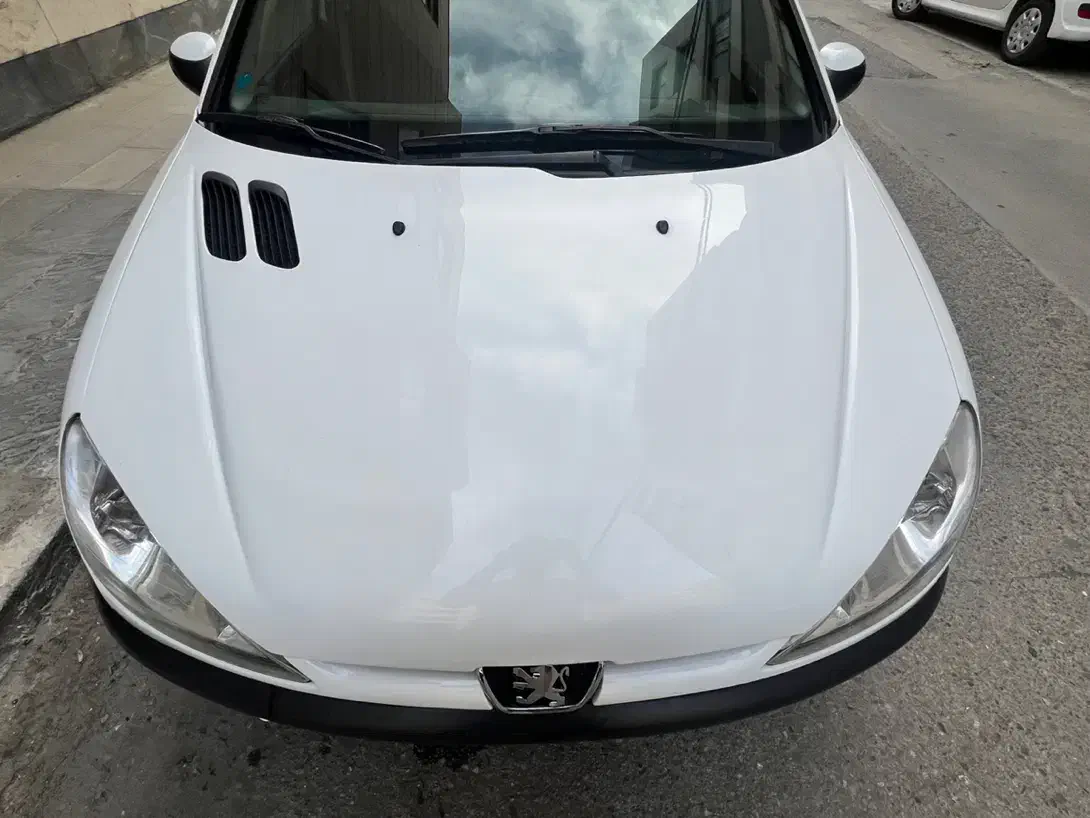 پژو 206 تیپ 2 - 1395