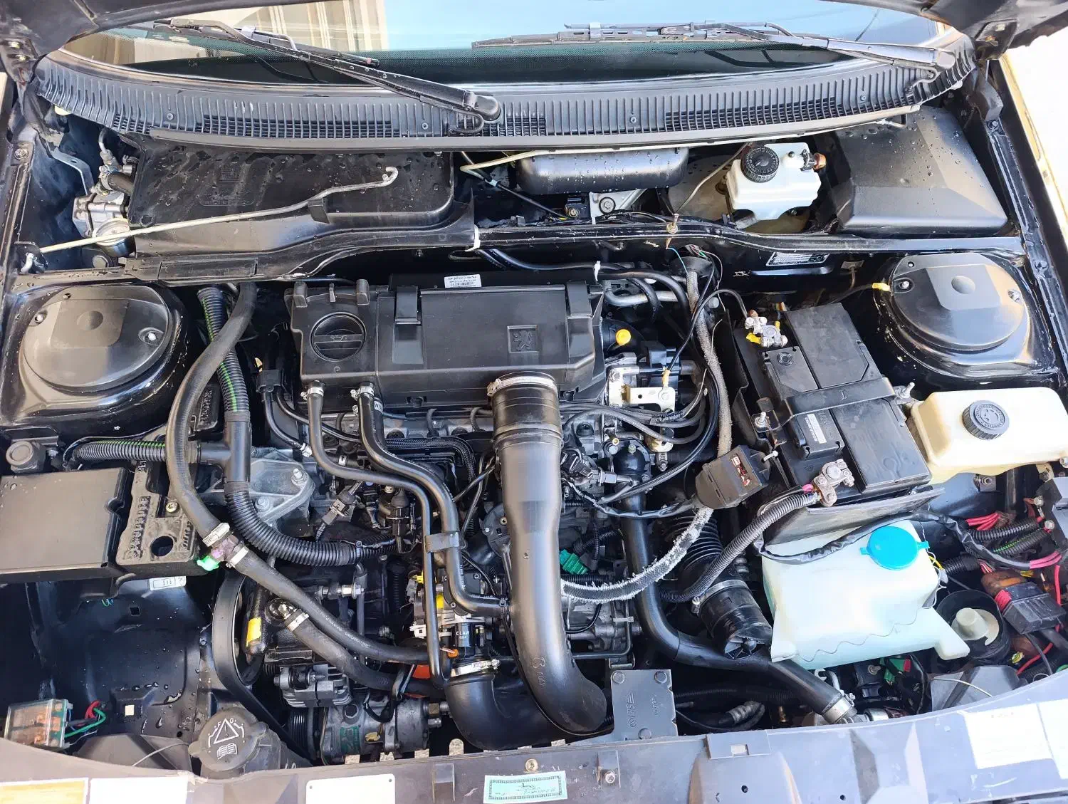 پژو 405 GLX - دوگانه سوز - 1383