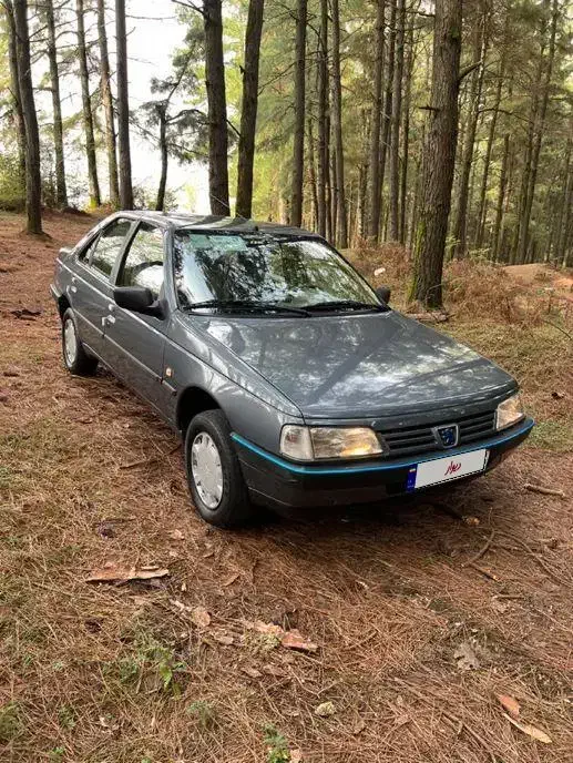 خودرو پژو، 405 آگهی ann_20966331