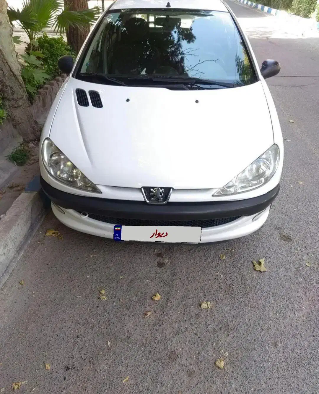 پژو 206 تیپ 2 - 1399