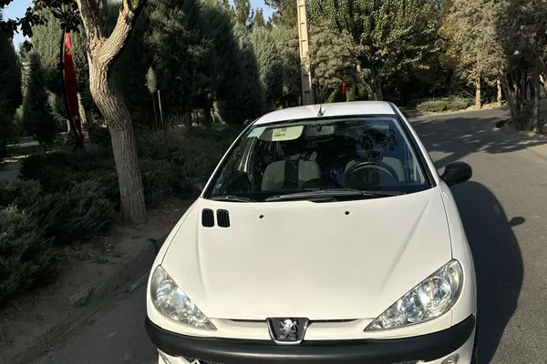 خودرو پژو، 206 آگهی ann_20966672