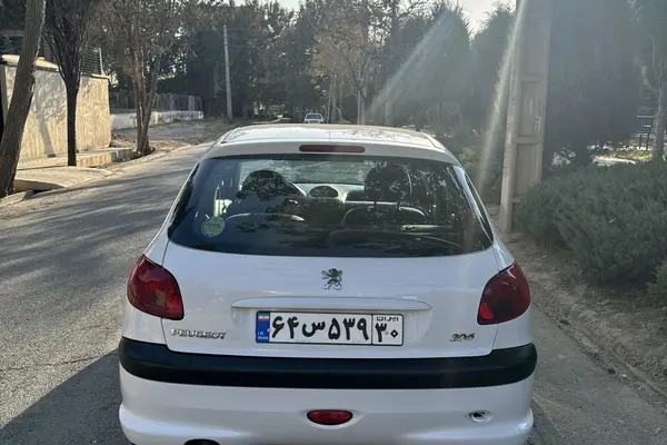 پژو 206 تیپ 2 - 1399