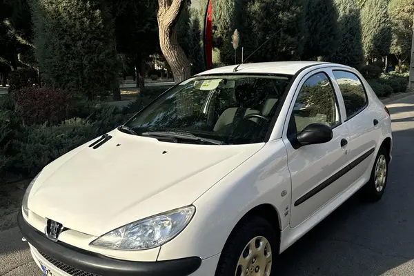 پژو 206 تیپ 2 - 1399