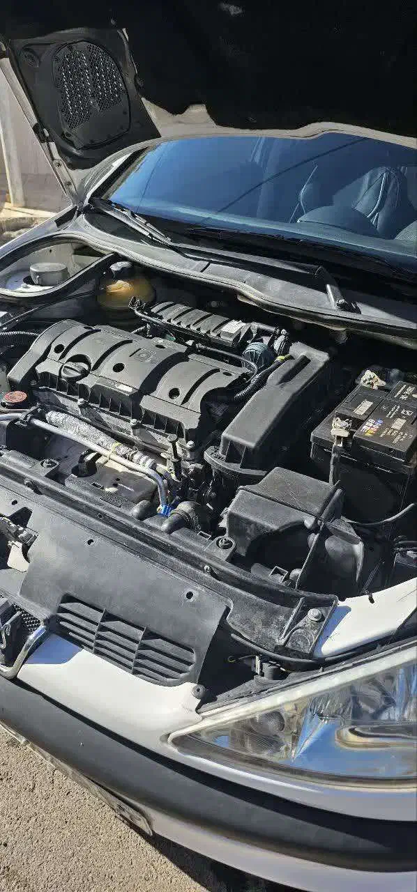 پژو 206 تیپ 5 - 1390