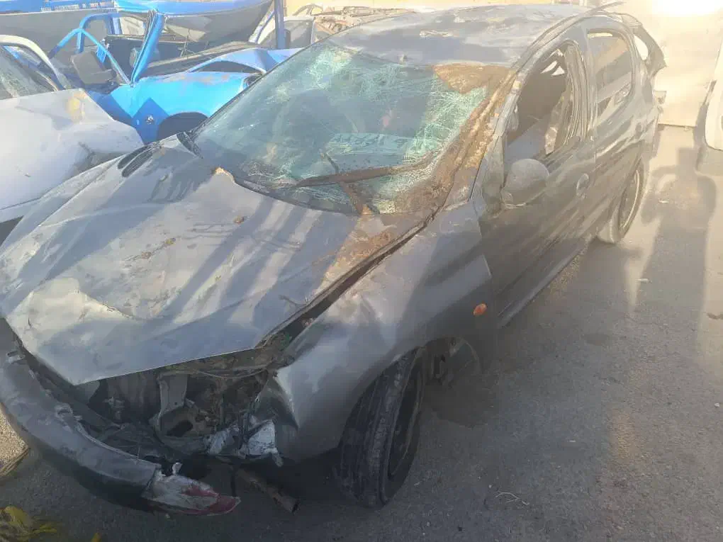 پژو 206 تیپ 2 - 1384