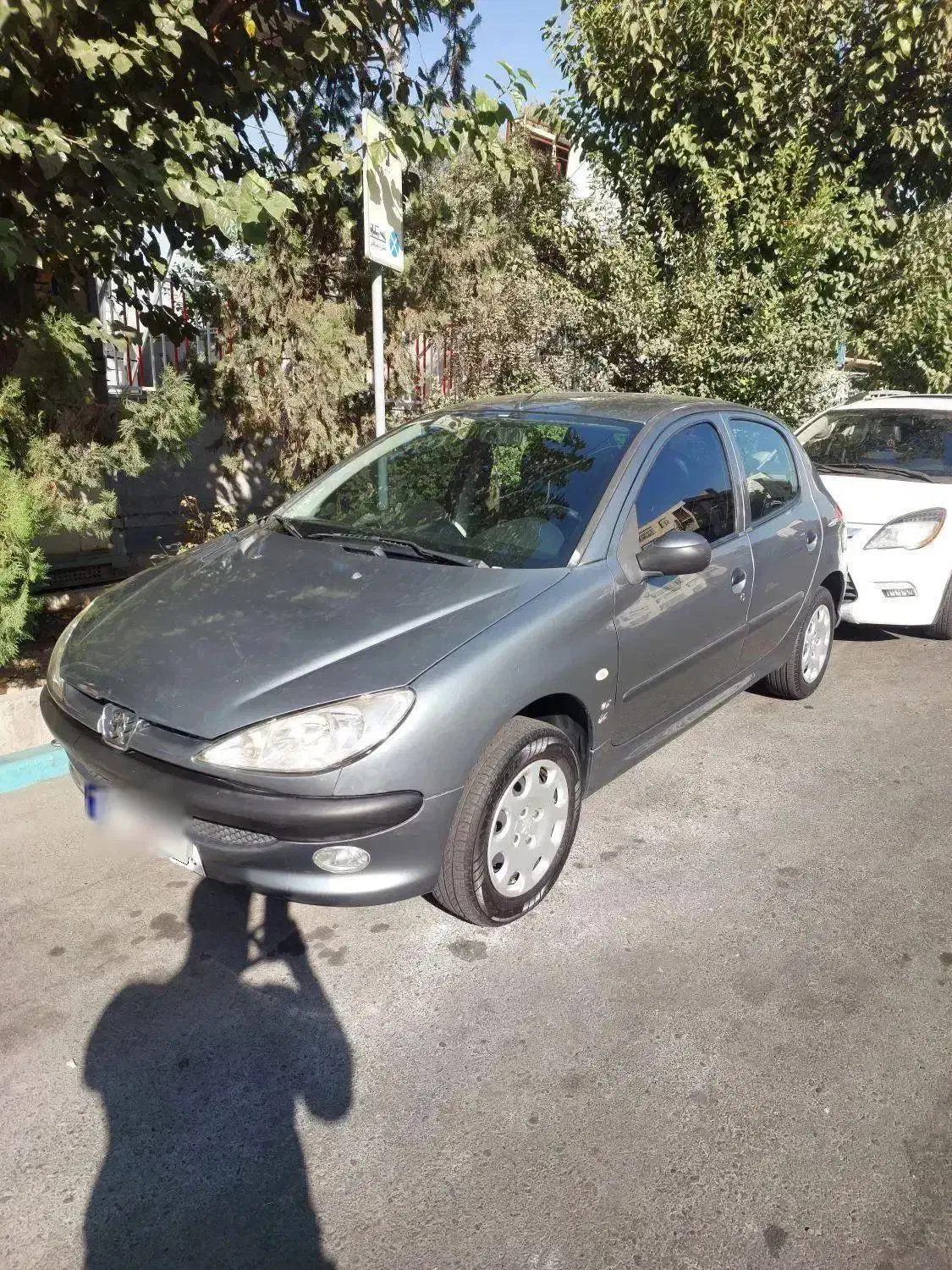 پژو 206 تیپ 5 - 1394