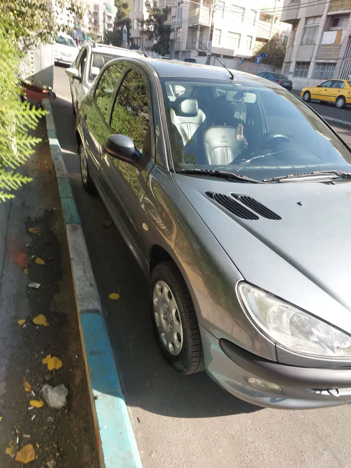 پژو 206 تیپ 5 - 1394