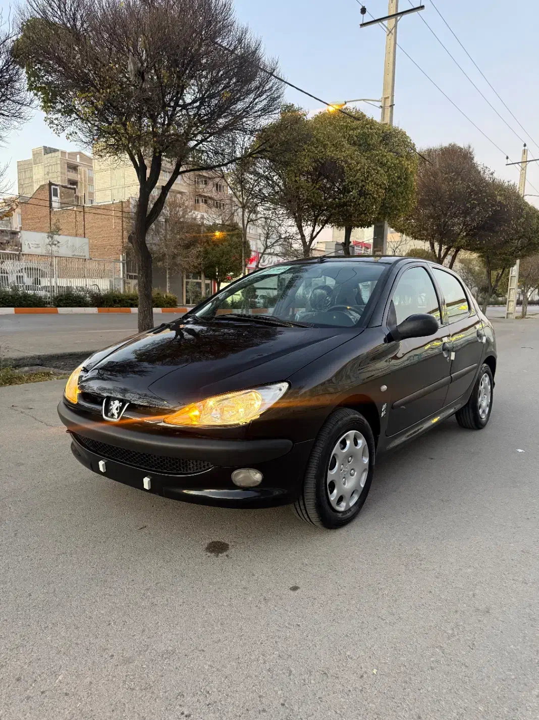 پژو 206 تیپ 2 - 1391