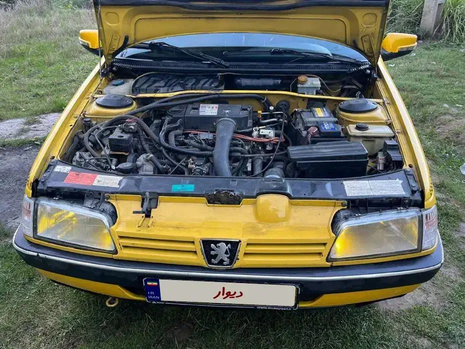 پژو 405 GLX - دوگانه سوز - 1390