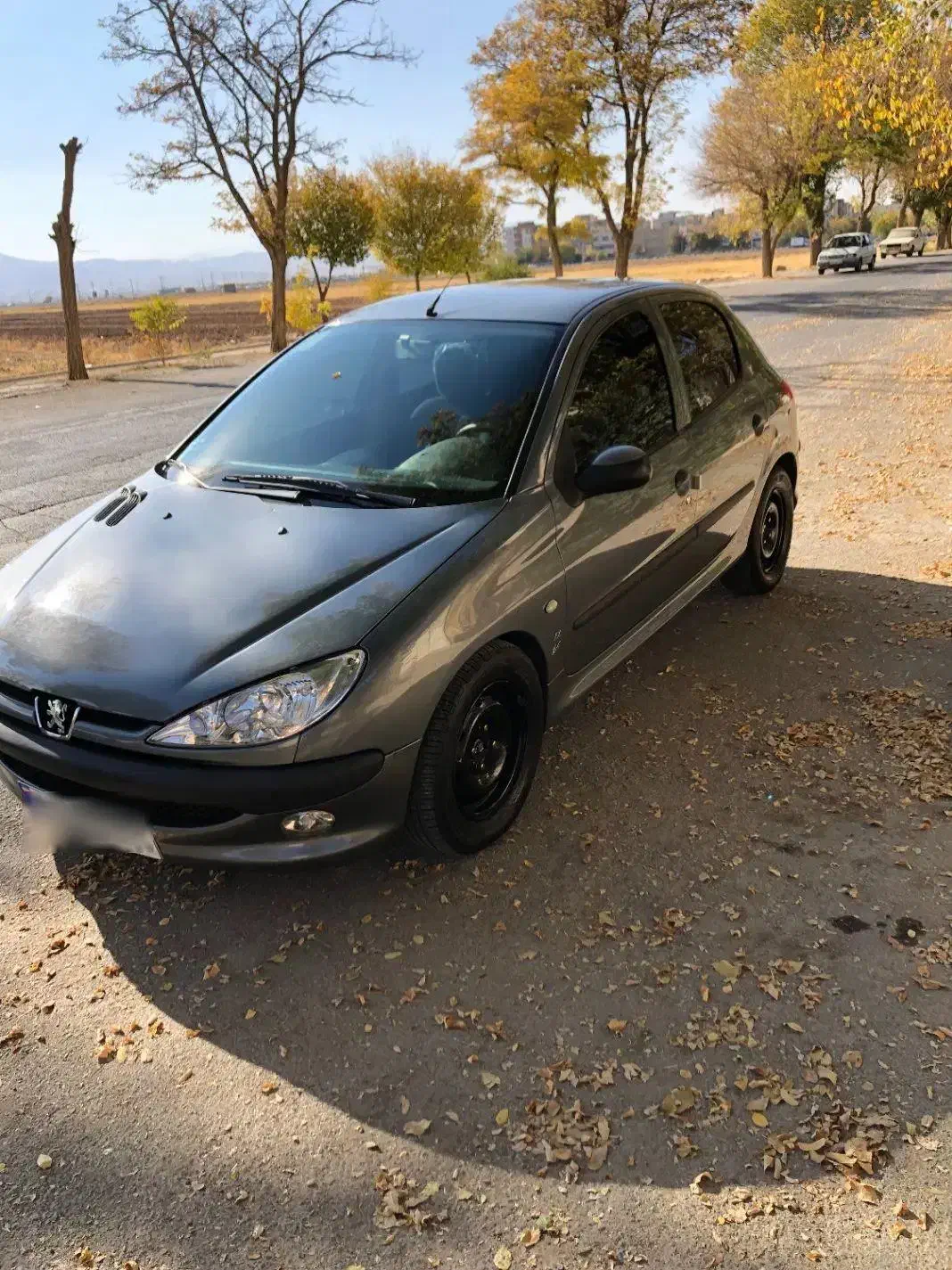 خودرو پژو، 206 آگهی ann_20967612